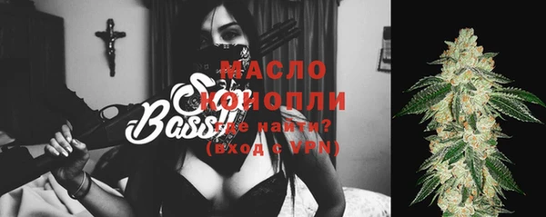 хмурый Михайловск