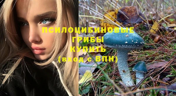 крисы Навашино