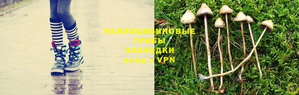герыч Надым