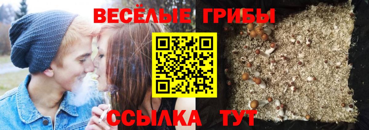 Галлюциногенные грибы мицелий  Псилоцибиновые грибы мухоморы  Избербаш  Вход с VPN 