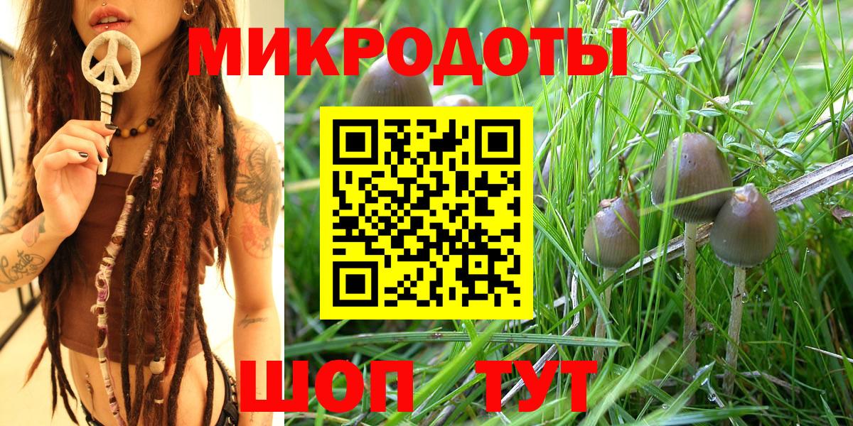 Псилоцибиновые грибы мицелий Избербаш