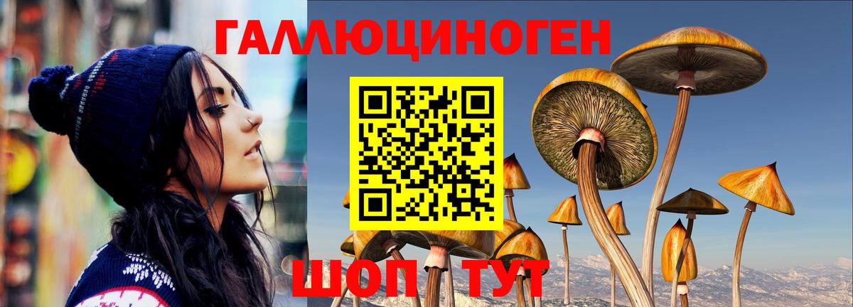 Галлюциногенные грибы ЛСД  Избербаш 